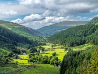 Wicklow